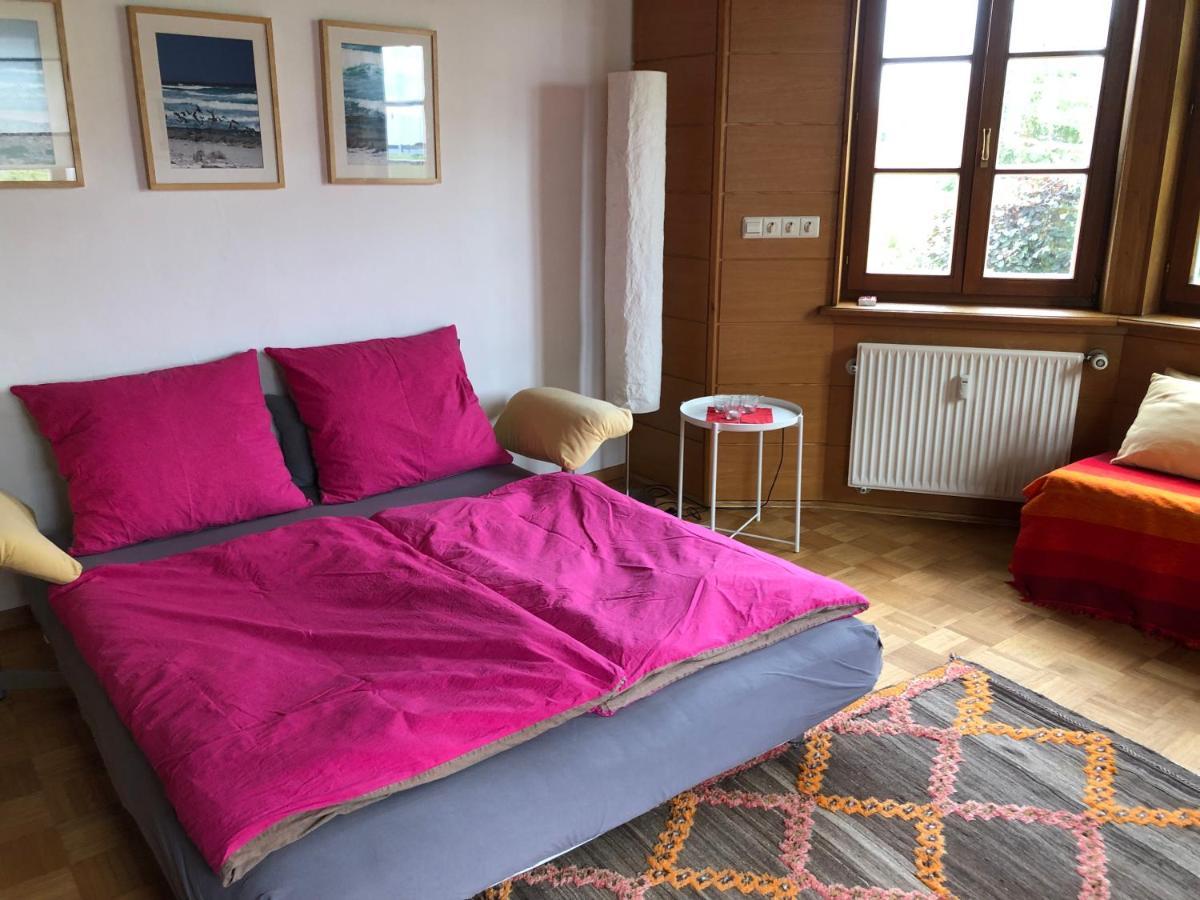 Ferienwohnung Am Donauradwanderweg Riedlingen Exterior foto